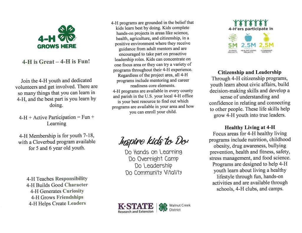 Page 2 of the Flyer with information about joining 4-H