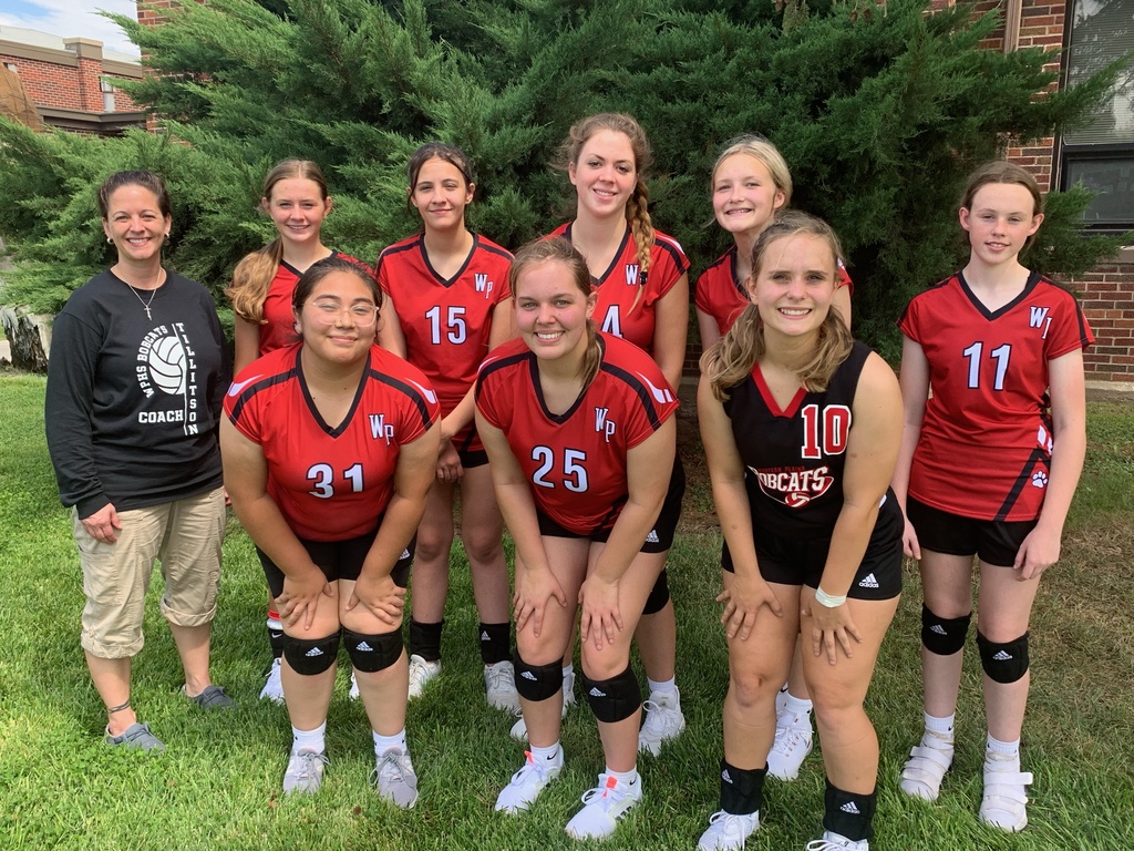 hs vb
