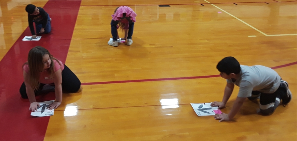 Students measure the running stride length of different dinosaurs