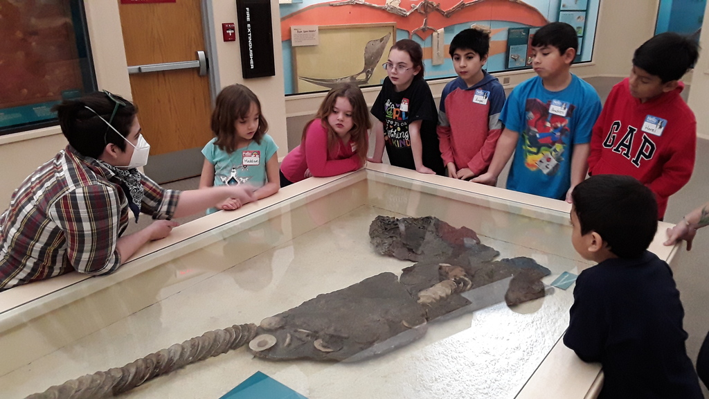 Paleontologist discusses ancient shark fossil with students